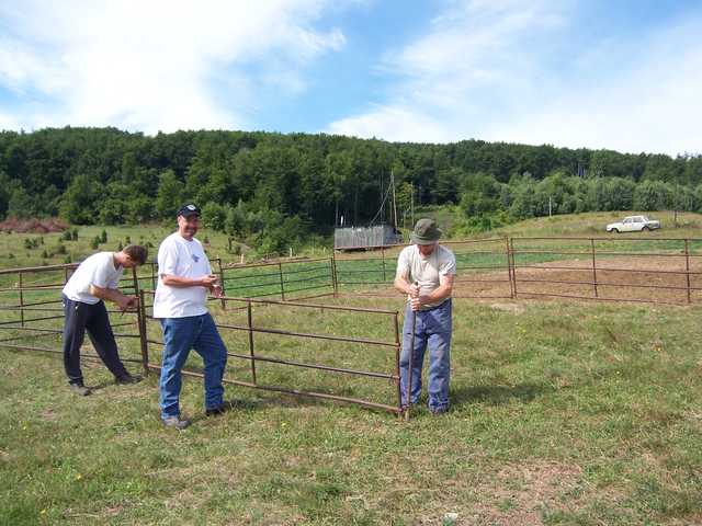 Mounting Fence for  Sheep Herd