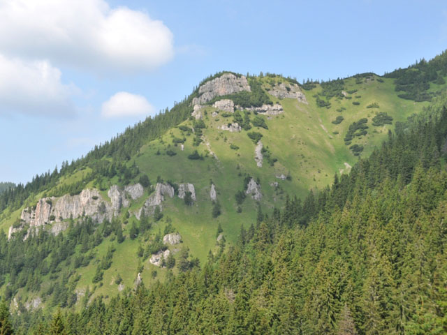 Salatin Peak