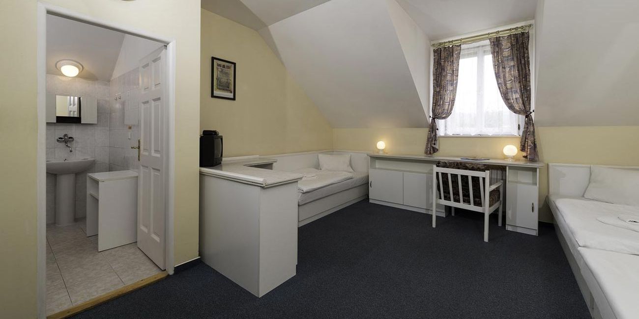 Standard double room - Pro Patria Ensana Health Spa Hotel Standard double room - Pro Patria Ensana Health Spa Hotel