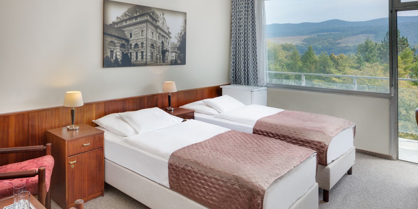 Standard room - Splendid Ensana Health Spa Hotel Standard room - Splendid Ensana Health Spa Hotel