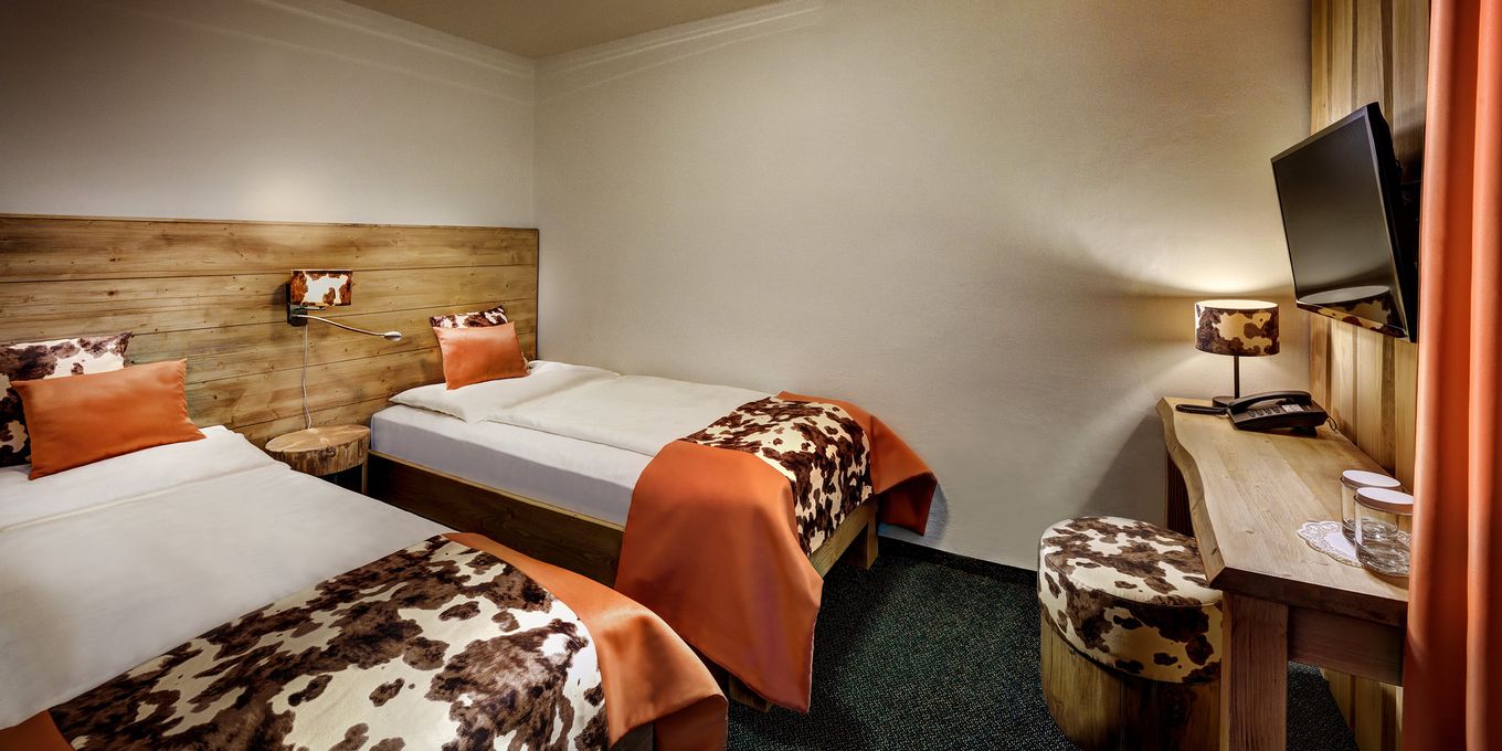 Standard twin room - Hotel Srdiecko