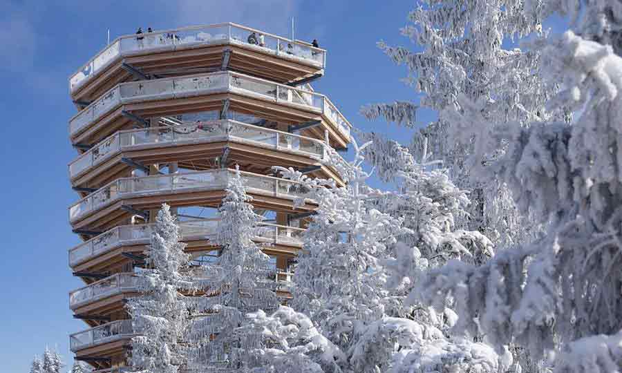 Bachledka Treetop Walkway - Tower