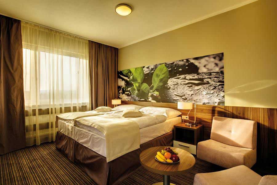 Mineral Spa Hotel - Double room