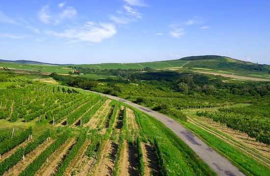 Tokaj Wine Route