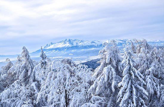 Top 10 Longest Ski Runs in Slovakia