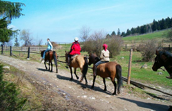 Horse-riding Trips