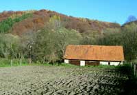 Livov Landscape