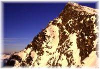 Krivan peak in winter