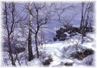 Winter landscape in Stiavnicke Hills