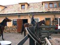 Slovakia Horse Riding Tour